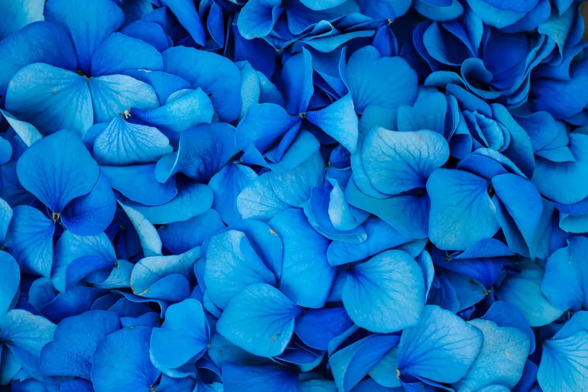 Cadet Blue, hex #B0B7C6