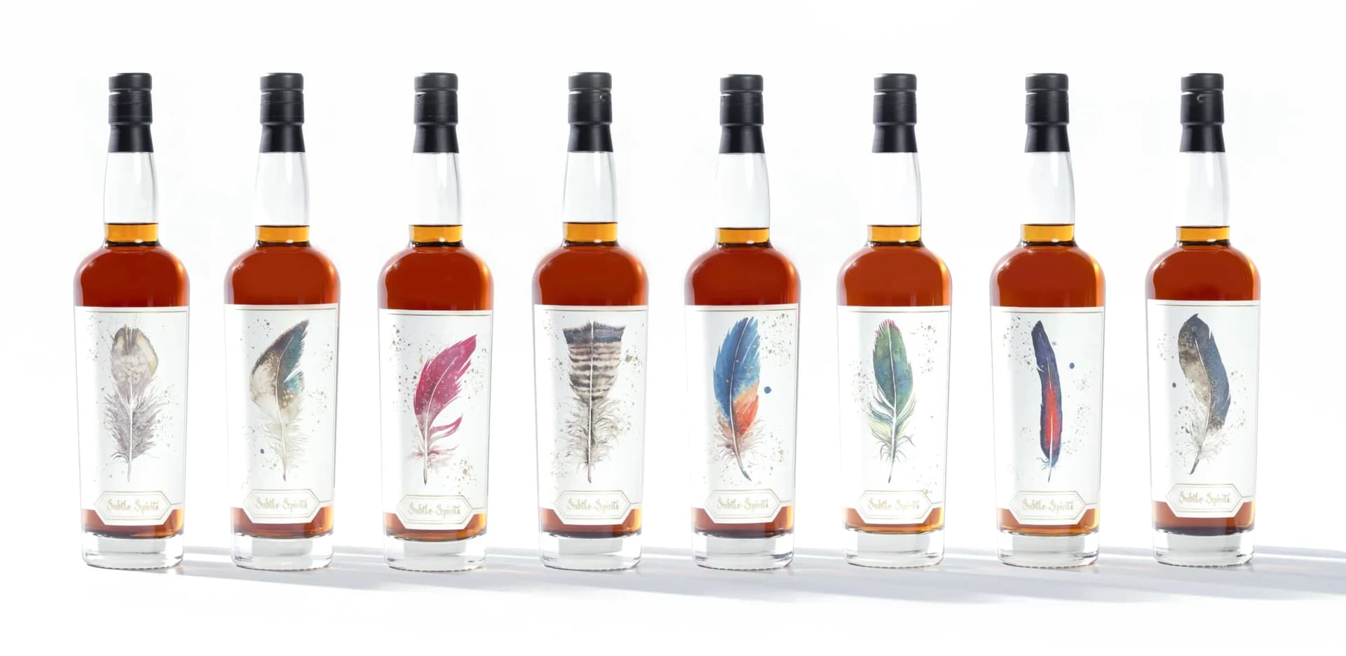 The eight bottles of A Collection of Rare Birds in a row, each labelled with one of Shayna’s watercolor feathers: Quail, Starling, Cardinal, Turkey, Kingfisher, Hummingbird, Macaw and Mallard.